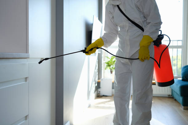 Best Professional Mold Removal  in Tangerine, FL