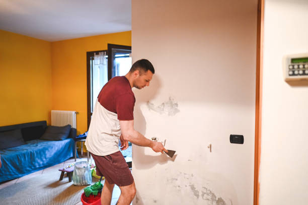 Best Mold Damage Repair  in Tangerine, FL
